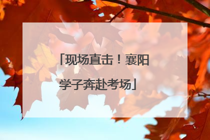 现场直击！襄阳学子奔赴考场