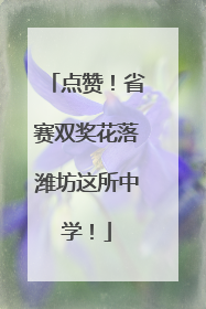 点赞！省赛双奖花落潍坊这所中学！