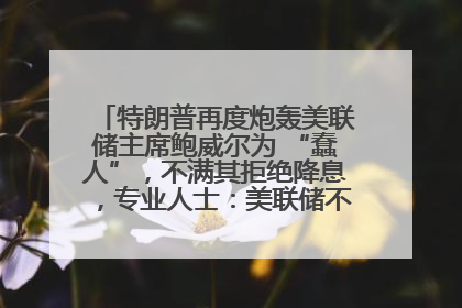 特朗普再度炮轰美联储主席鲍威尔为 “蠢人”，不满其拒绝降息，专业人士：美联储不是政府的附庸工具