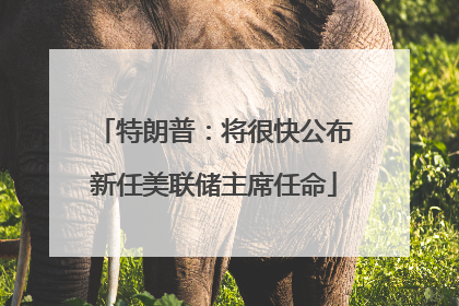 特朗普：将很快公布新任美联储主席任命