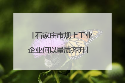 石家庄市规上工业企业何以量质齐升