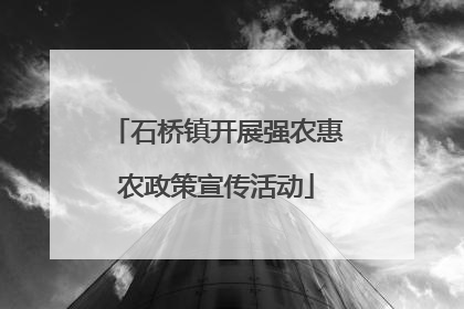 石桥镇开展强农惠农政策宣传活动