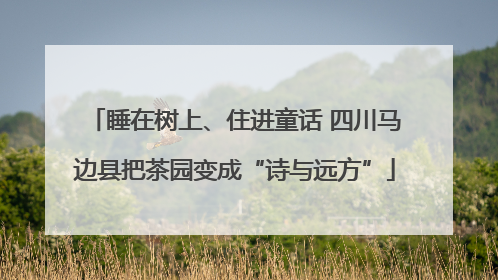 睡在树上、住进童话 四川马边县把茶园变成“诗与远方”
