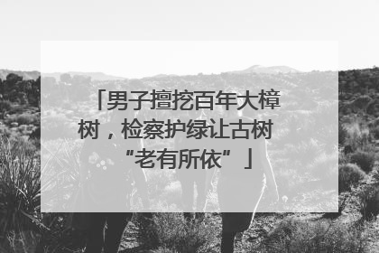 男子擅挖百年大樟树，检察护绿让古树“老有所依”
