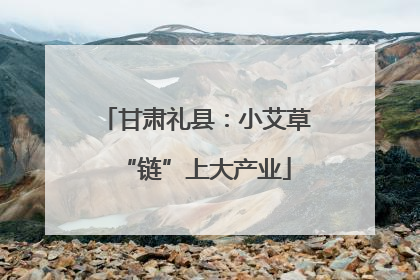 甘肃礼县：小艾草“链”上大产业
