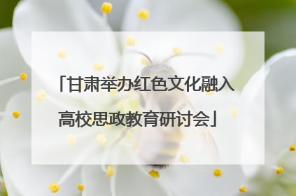 甘肃举办红色文化融入高校思政教育研讨会