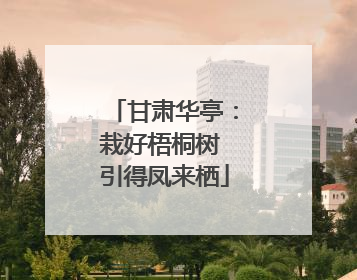 甘肃华亭：栽好梧桐树 引得凤来栖