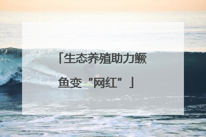 生态养殖助力鳜鱼变“网红”