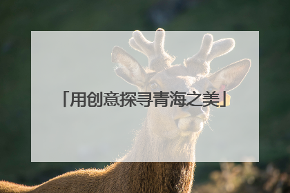 用创意探寻青海之美