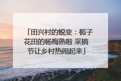 田兴村的蜕变：栀子花田的杨梅熟啦 采摘节让乡村热闹起来