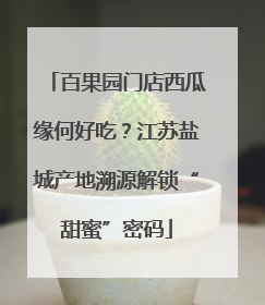 百果园门店西瓜缘何好吃？江苏盐城产地溯源解锁“甜蜜”密码