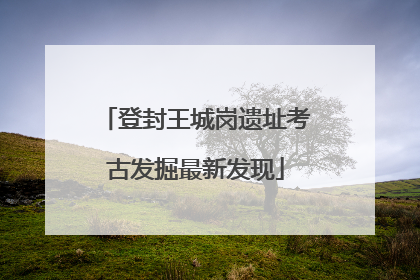 登封王城岗遗址考古发掘最新发现