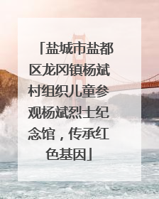 盐城市盐都区龙冈镇杨斌村组织儿童参观杨斌烈士纪念馆，传承红色基因