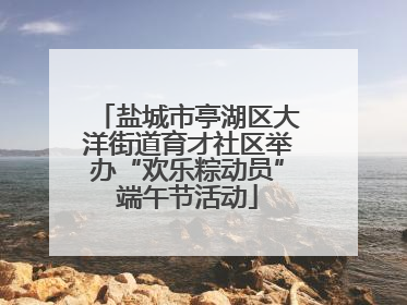 盐城市亭湖区大洋街道育才社区举办“欢乐粽动员”端午节活动