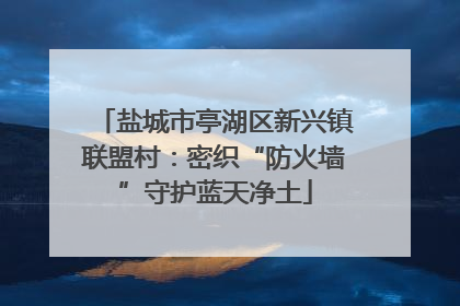 盐城市亭湖区新兴镇联盟村：密织“防火墙”守护蓝天净土
