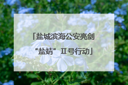盐城滨海公安亮剑“盐靖”Ⅱ号行动