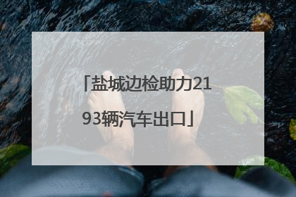 盐城边检助力2193辆汽车出口