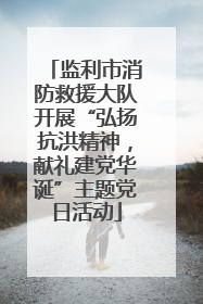 监利市消防救援大队开展“弘扬抗洪精神，献礼建党华诞”主题党日活动
