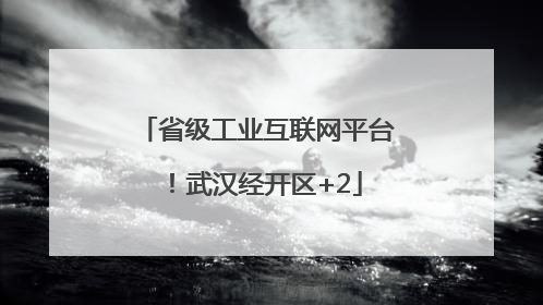 省级工业互联网平台！武汉经开区+2
