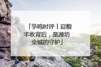 筝鸣时评丨夏粮丰收背后，是潍坊全城的守护