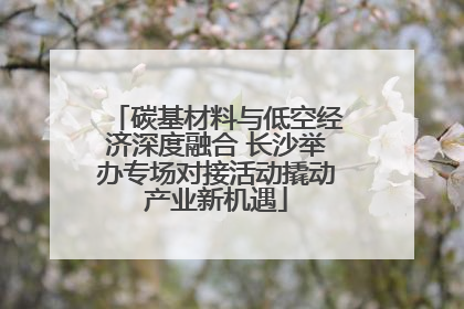 碳基材料与低空经济深度融合 长沙举办专场对接活动撬动产业新机遇