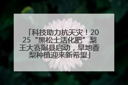 科技助力抗天灾！2025“黑松土活化肥”梨王大赛隰县启动，旱地香梨种植迎来新希望