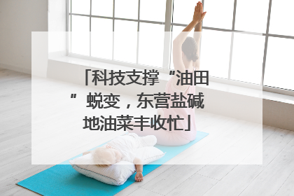 科技支撑“油田”蜕变，东营盐碱地油菜丰收忙