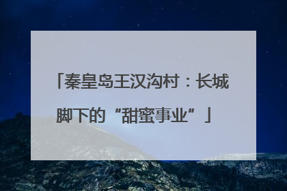 秦皇岛王汉沟村：长城脚下的“甜蜜事业”