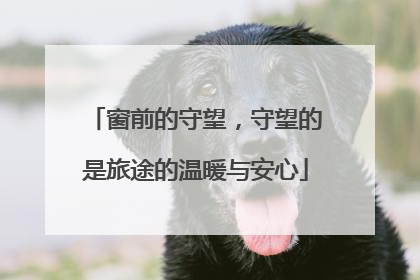 窗前的守望，守望的是旅途的温暖与安心