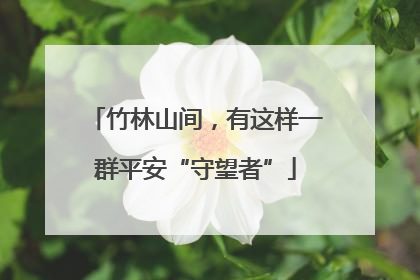竹林山间，有这样一群平安“守望者”