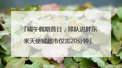端午假期首日，排队进胖东来天使城超市仅需20分钟