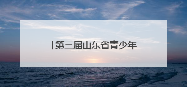 第三届山东省青少年人工智能科普与创新创意大赛交流会召开