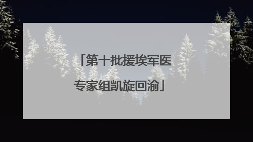 第十批援埃军医专家组凯旋回渝