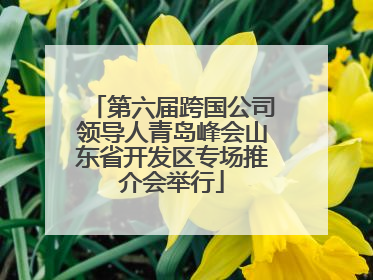第六届跨国公司领导人青岛峰会山东省开发区专场推介会举行