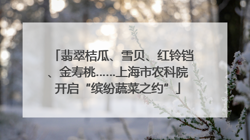 翡翠桔瓜、雪贝、红铃铛、金寿桃……上海市农科院开启“缤纷蔬菜之约”