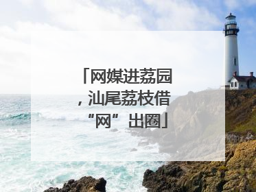 网媒进荔园，汕尾荔枝借“网”出圈