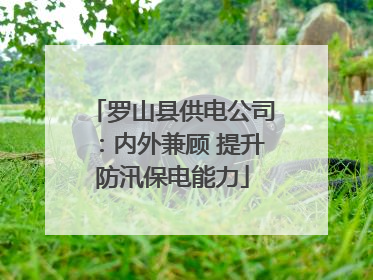 罗山县供电公司：内外兼顾 提升防汛保电能力