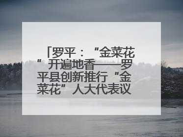罗平：“金菜花”开遍地香——罗平县创新推行“金菜花”人大代表议事会履职行动