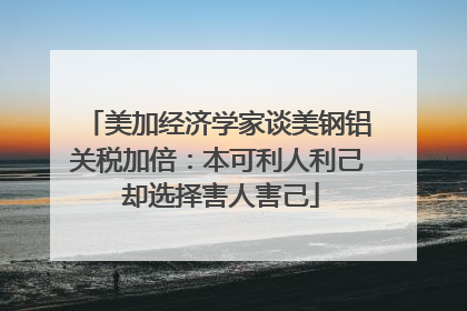 美加经济学家谈美钢铝关税加倍：本可利人利己 却选择害人害己
