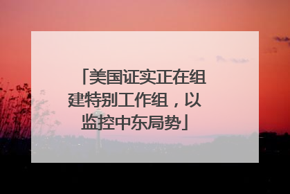 美国证实正在组建特别工作组，以监控中东局势