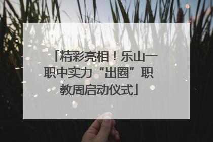 精彩亮相！乐山一职中实力“出圈”职教周启动仪式