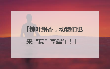 粽叶飘香，动物们也来“粽”享端午！