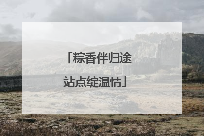 粽香伴归途 站点绽温情