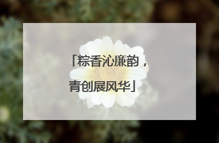 粽香沁廉韵，青创展风华