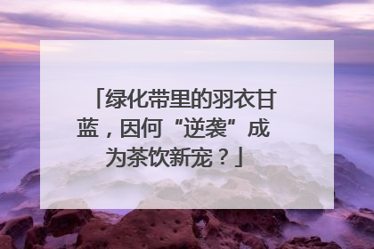 绿化带里的羽衣甘蓝，因何“逆袭”成为茶饮新宠？