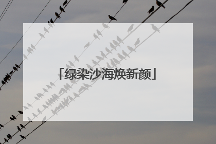 绿染沙海焕新颜
