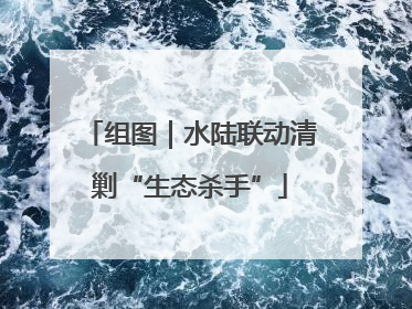 组图｜水陆联动清剿“生态杀手”