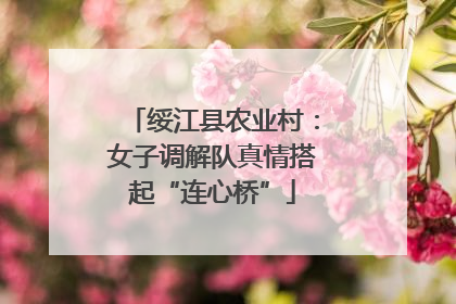 绥江县农业村：女子调解队真情搭起“连心桥”