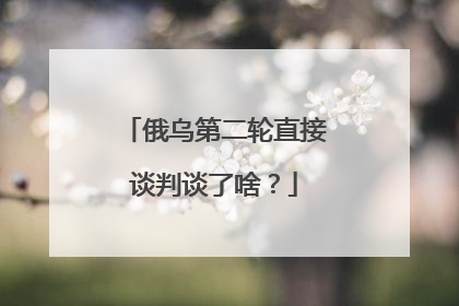 俄乌第二轮直接谈判谈了啥？