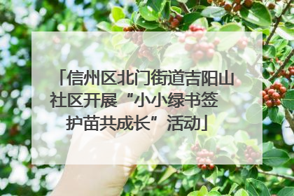 信州区北门街道吉阳山社区开展“小小绿书签 护苗共成长”活动